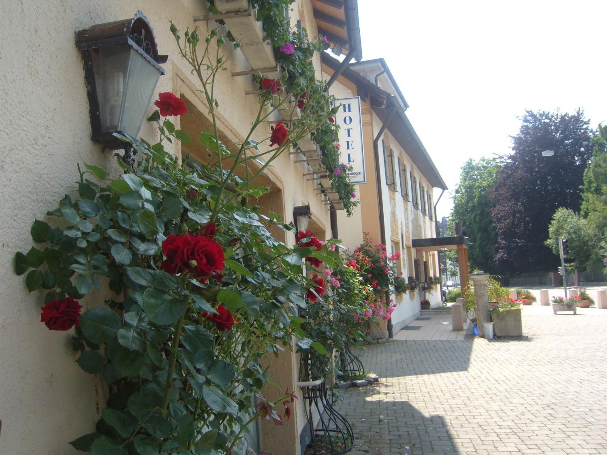 Hotel Gasthof Stern Mindelheim Esterno foto